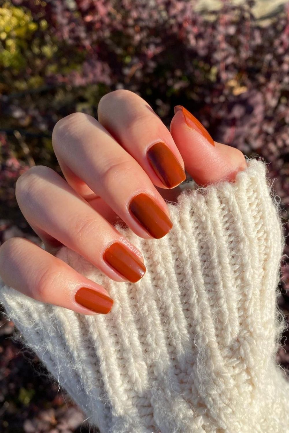 Best Brown nails design ideas for Short Fall nail colors 2021