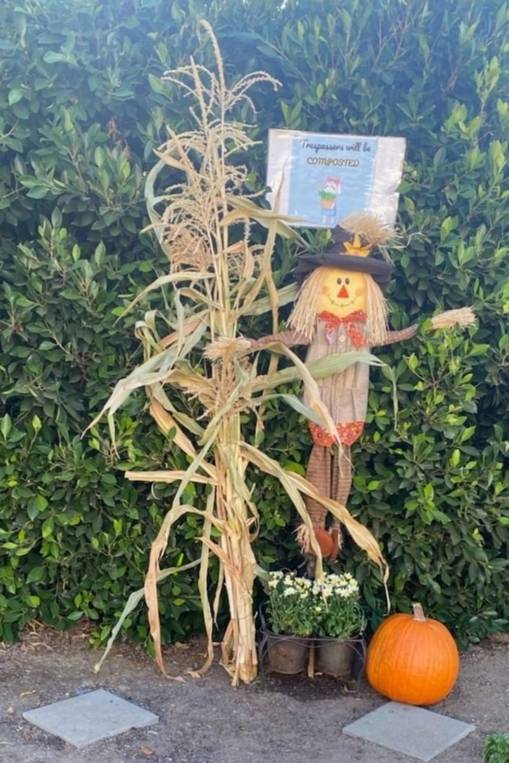 How to DIY scarecrow ideas for Fall yard 2021? 