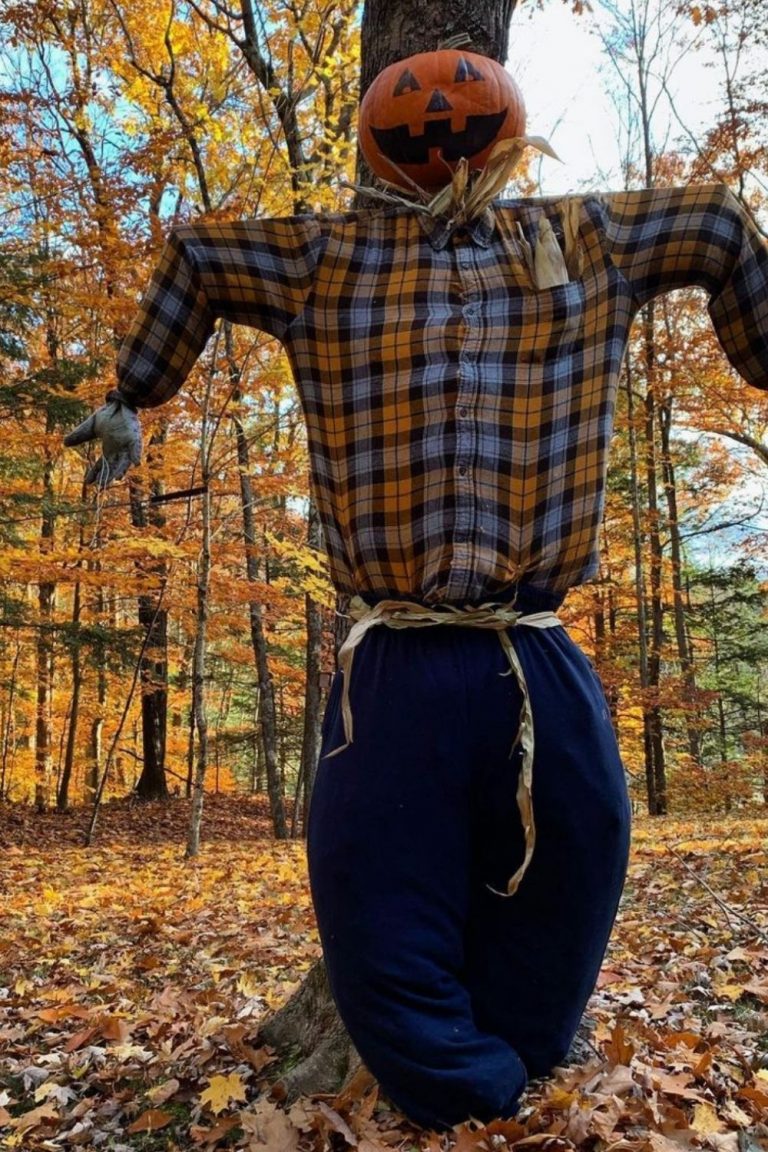 How to DIY scarecrow ideas for Fall yard 2021? Page 5 of 5