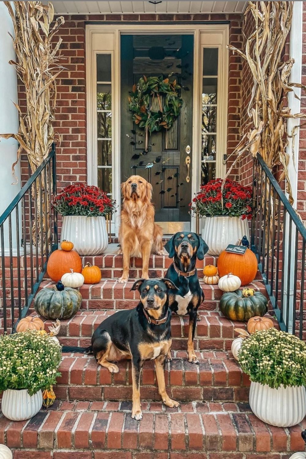 Spooky Halloween Outside Decorations ideas 2021