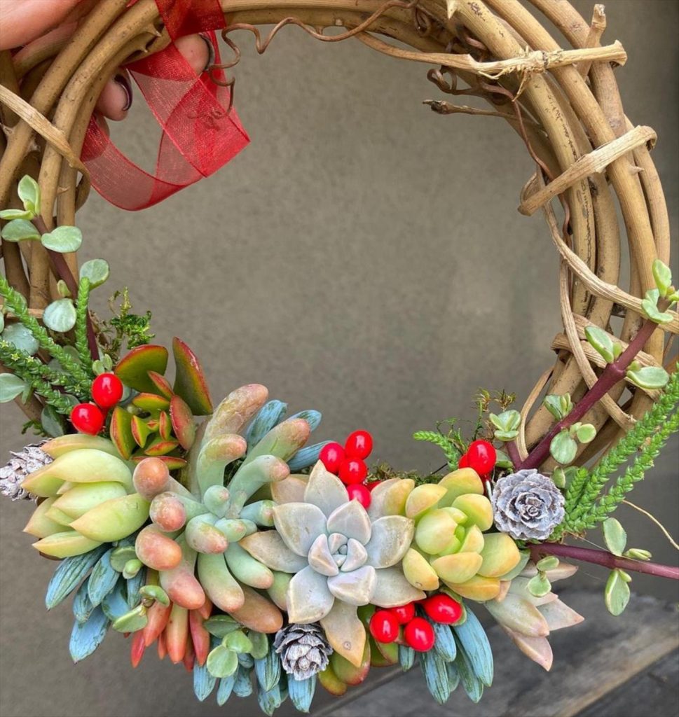 Creative Succulent Arrangements Ideas and Display Tips