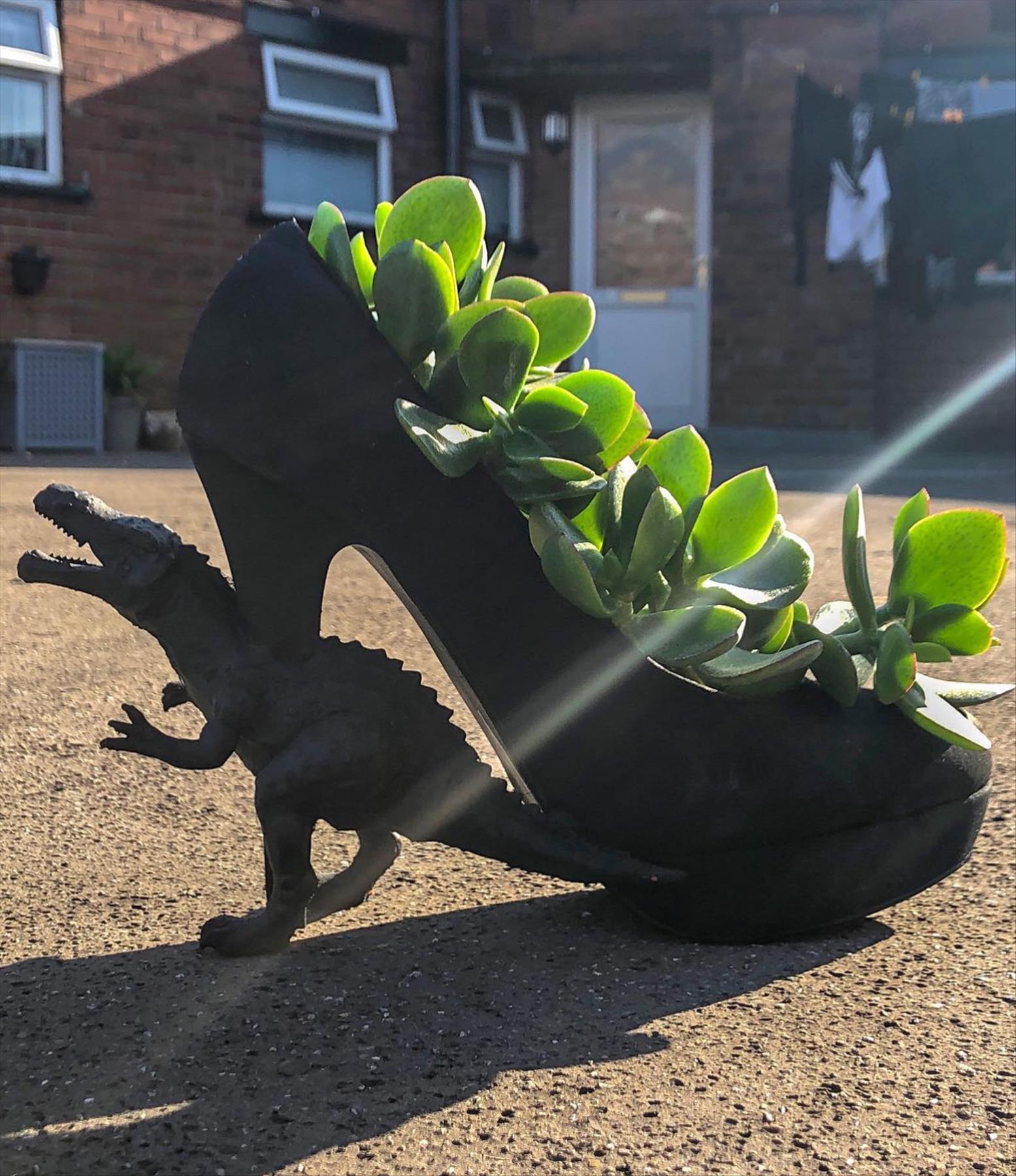 DIY plants in shoes: Recycled Footwear makes a Great Garden Planter