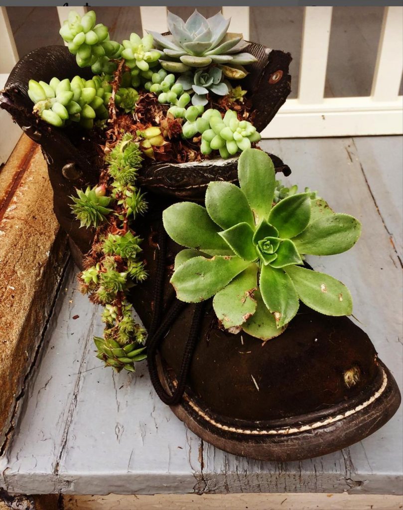 30 DIY plants in shoes: Recycled Footwear makes a Great Garden Planter