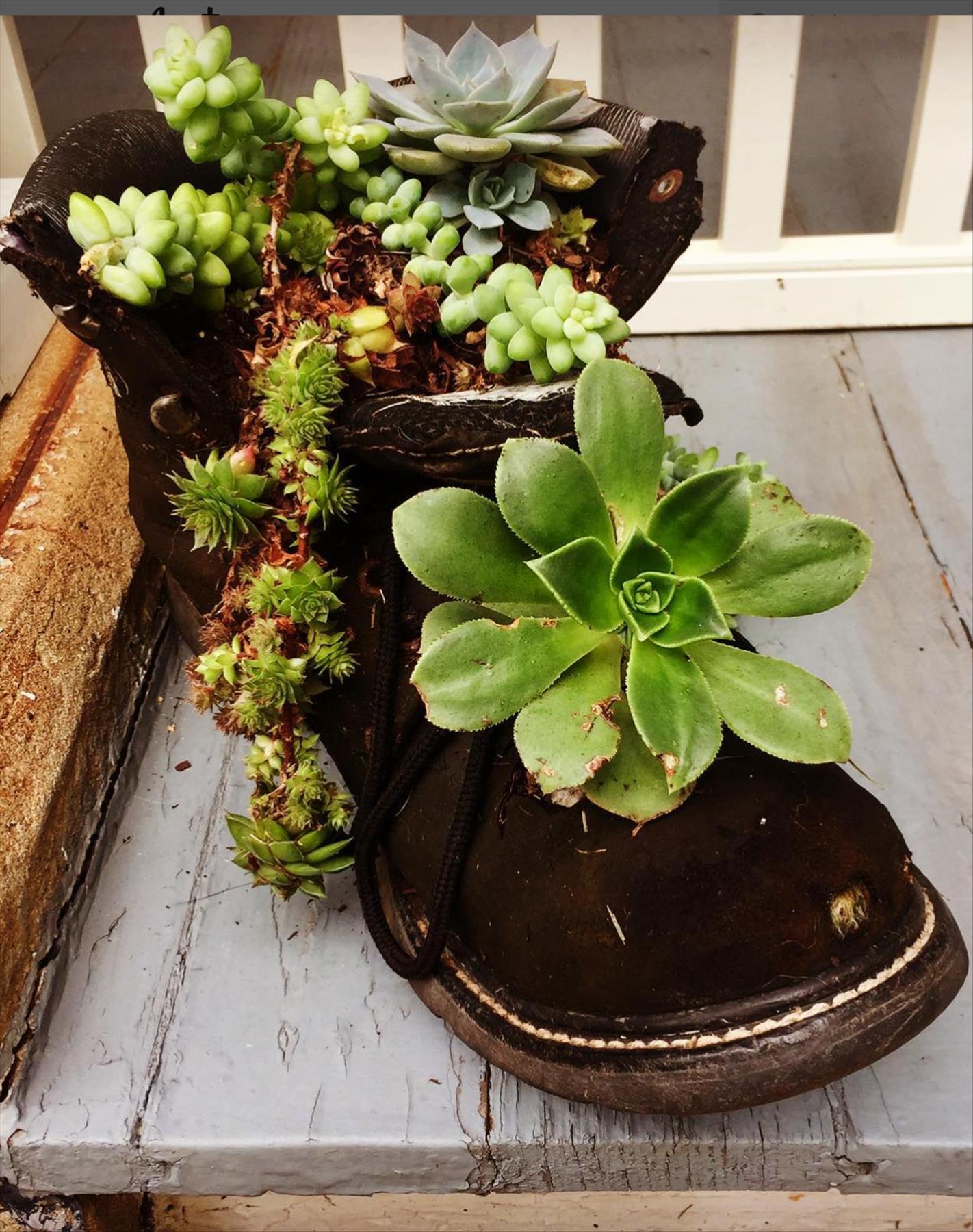 DIY plants in shoes: Recycled Footwear makes a Great Garden Planter