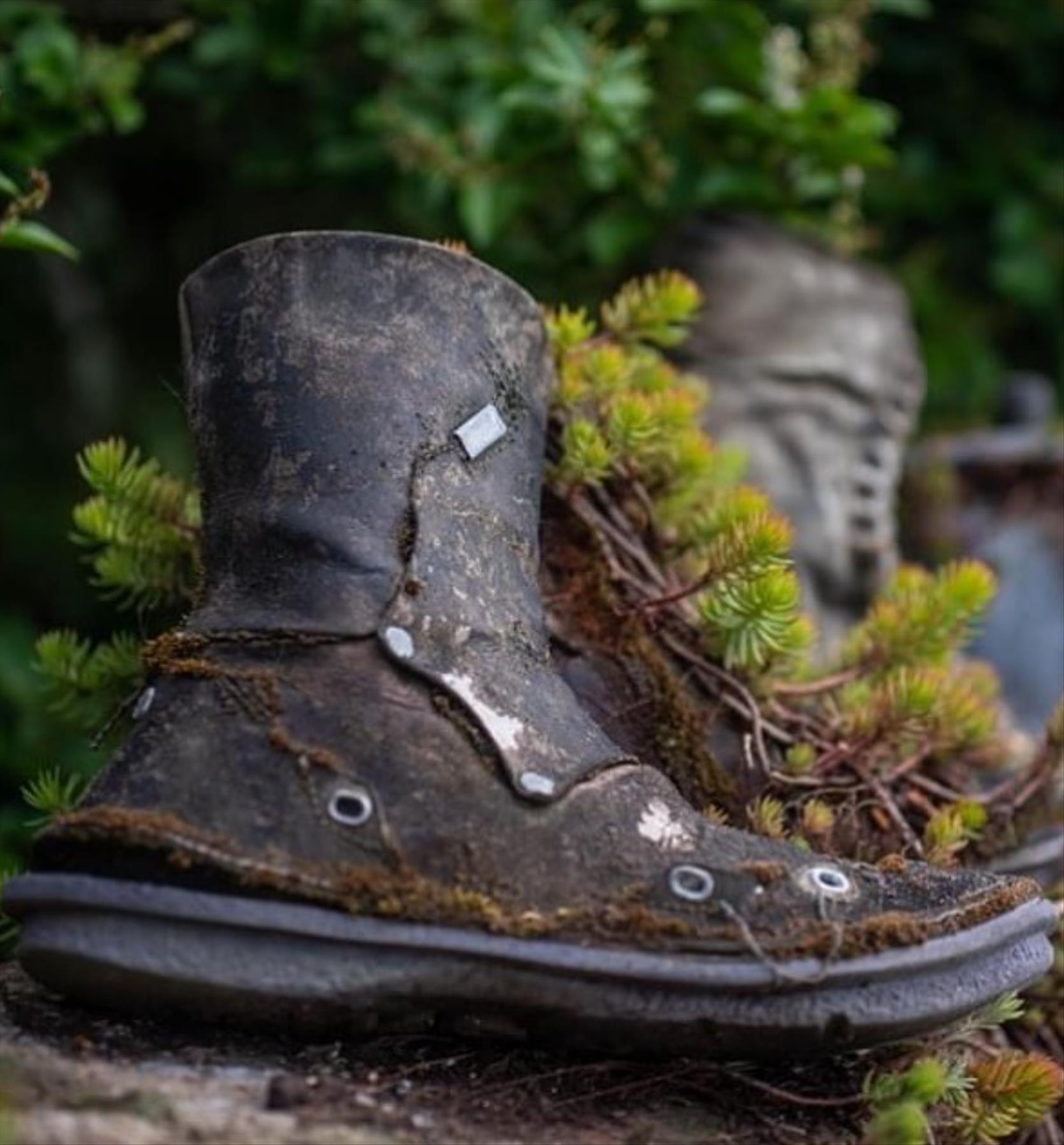 DIY plants in shoes: Recycled Footwear makes a Great Garden Planter 