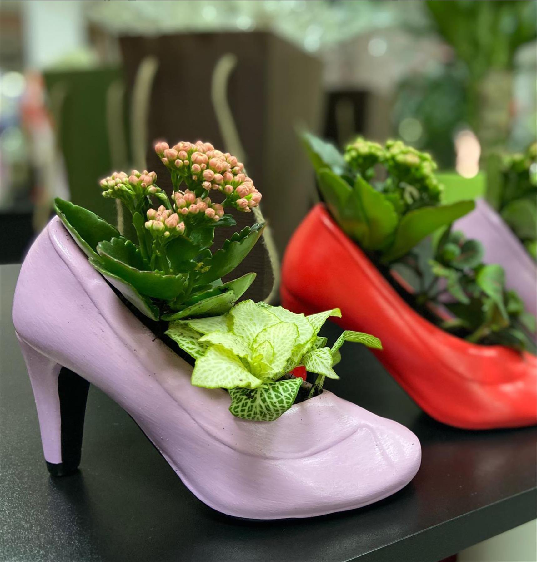 DIY plants in shoes: Recycled Footwear makes a Great Garden Planter