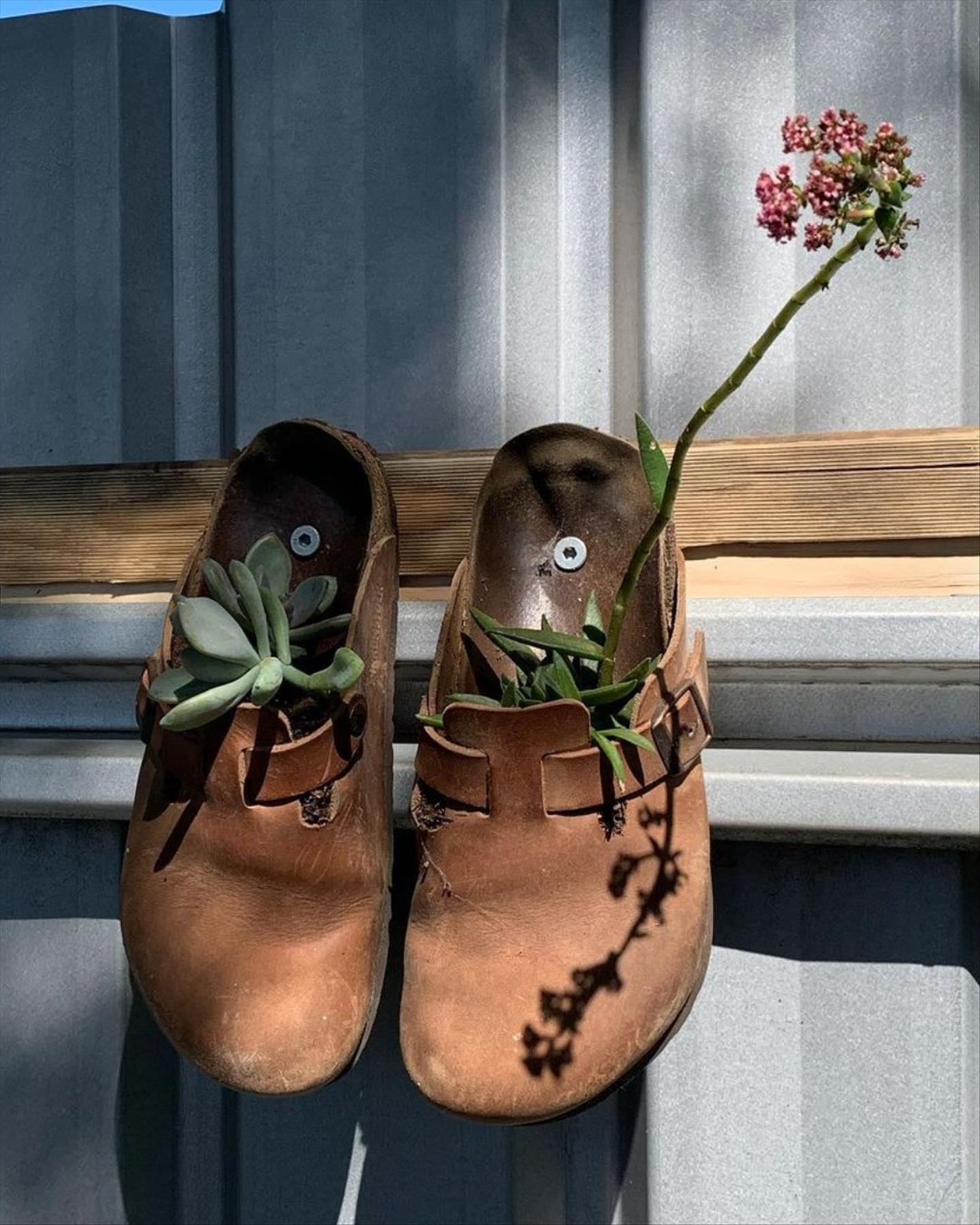 DIY plants in shoes: Recycled Footwear makes a Great Garden Planter