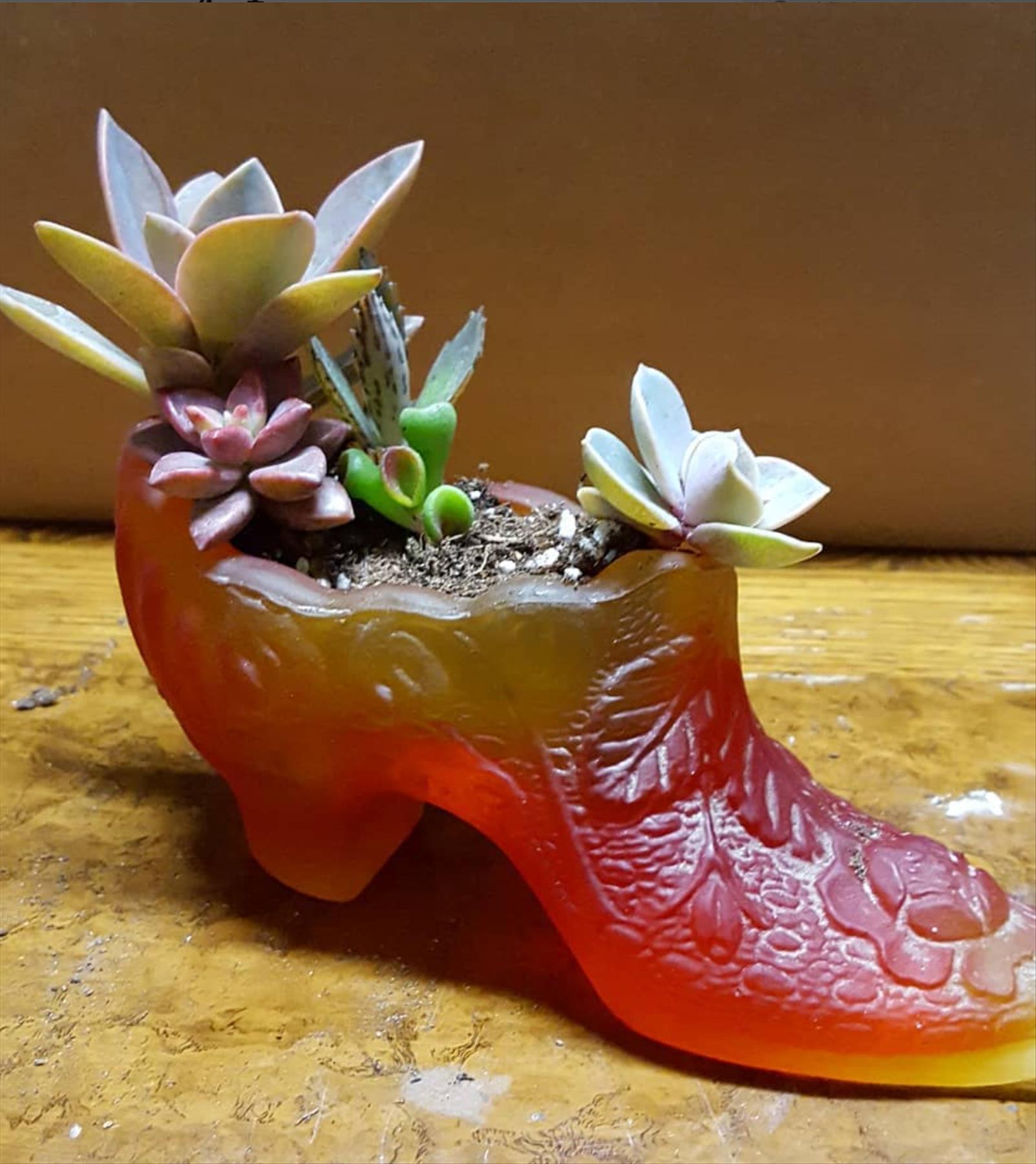 DIY plants in shoes: Recycled Footwear makes a Great Garden Planter