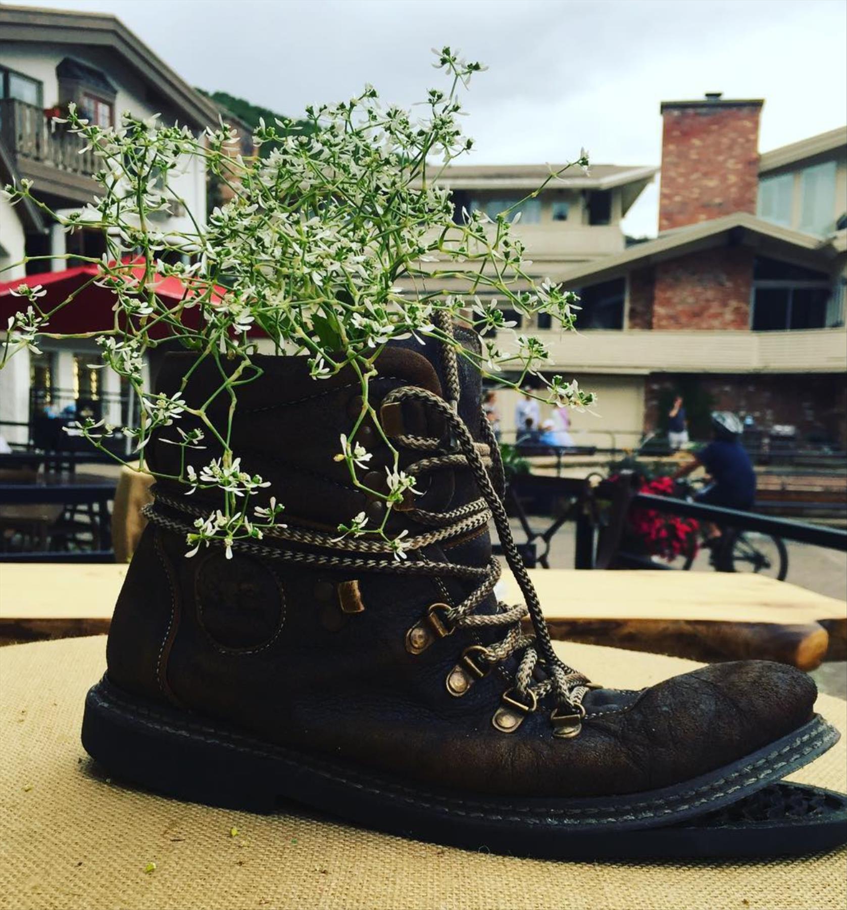 DIY plants in shoes: Recycled Footwear makes a Great Garden Planter