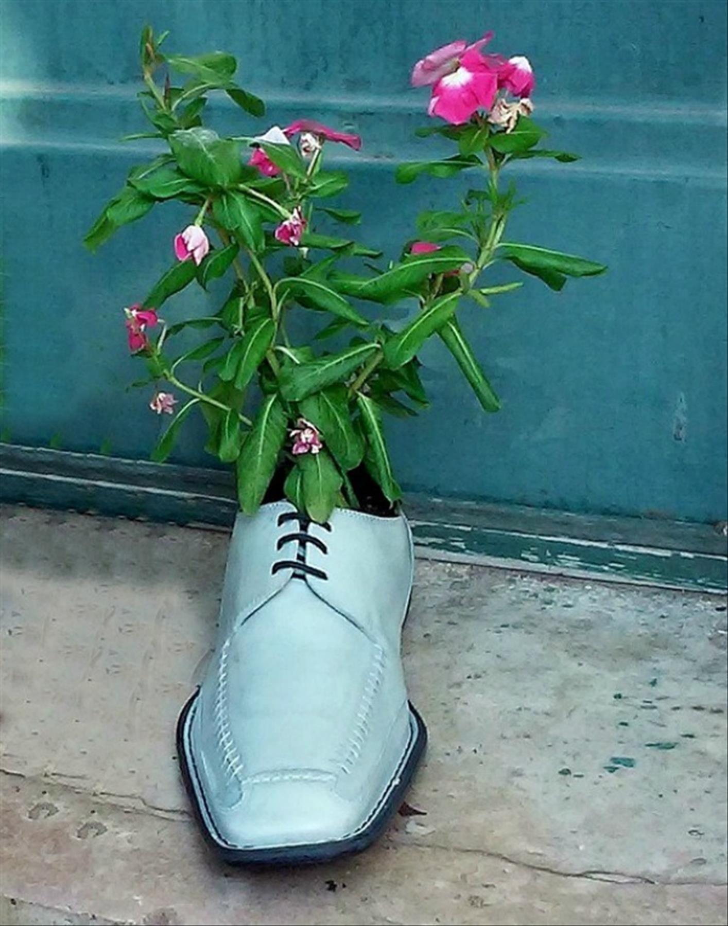 DIY plants in shoes: Recycled Footwear makes a Great Garden Planter