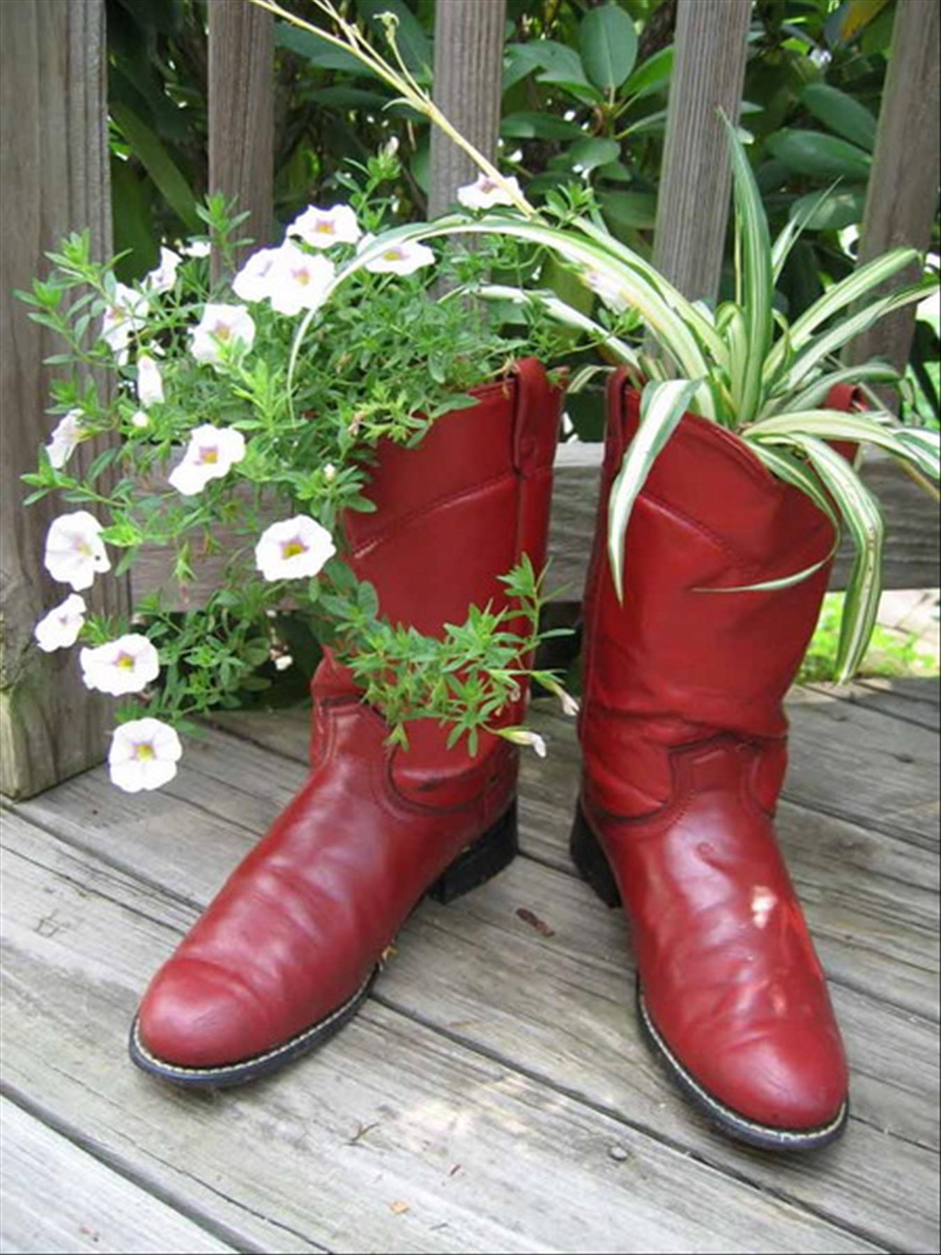 DIY plants in shoes: Recycled Footwear makes a Great Garden Planter