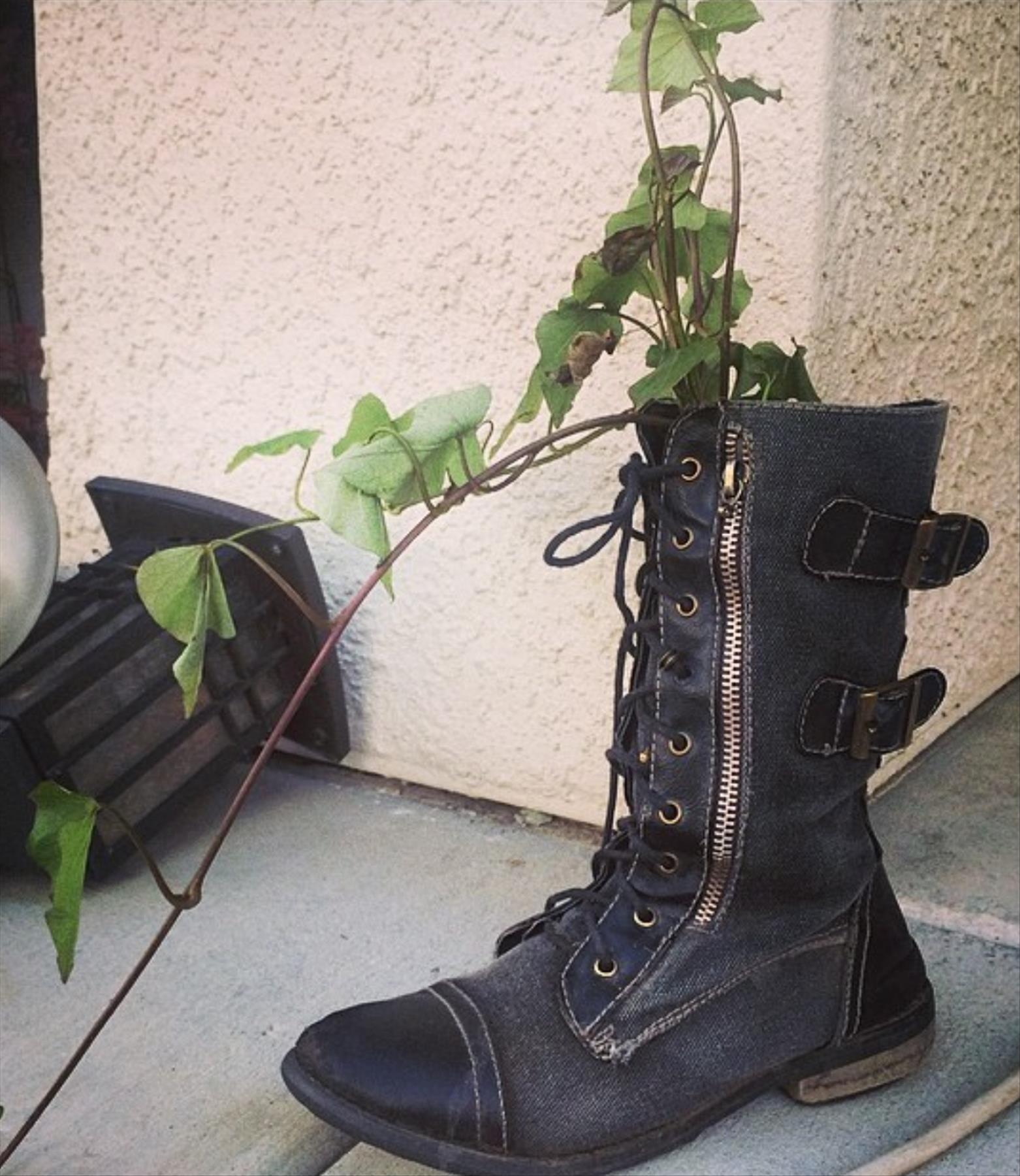 DIY plants in shoes: Recycled Footwear makes a Great Garden Planter