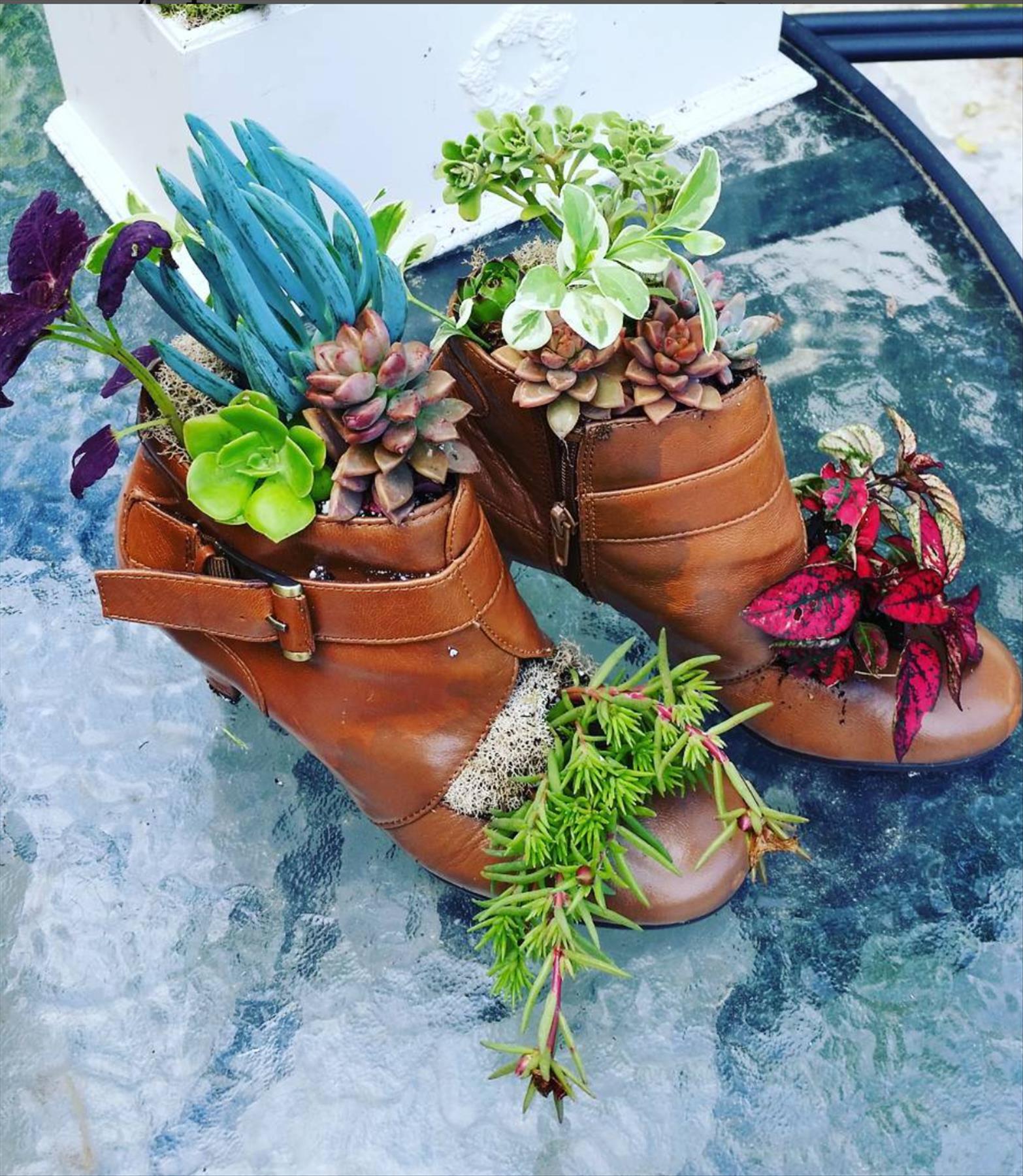 DIY plants in shoes: Recycled Footwear makes a Great Garden Planter