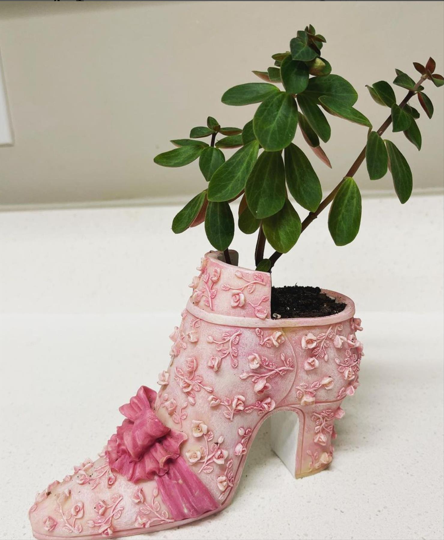 DIY plants in shoes: Recycled Footwear makes a Great Garden Planter