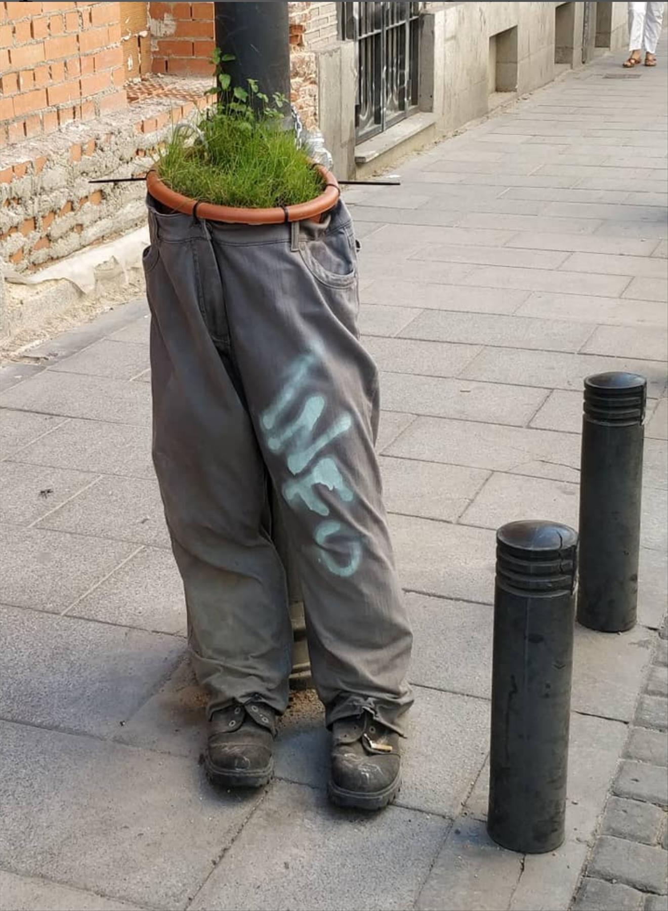 DIY plants in shoes: Recycled Footwear makes a Great Garden Planter