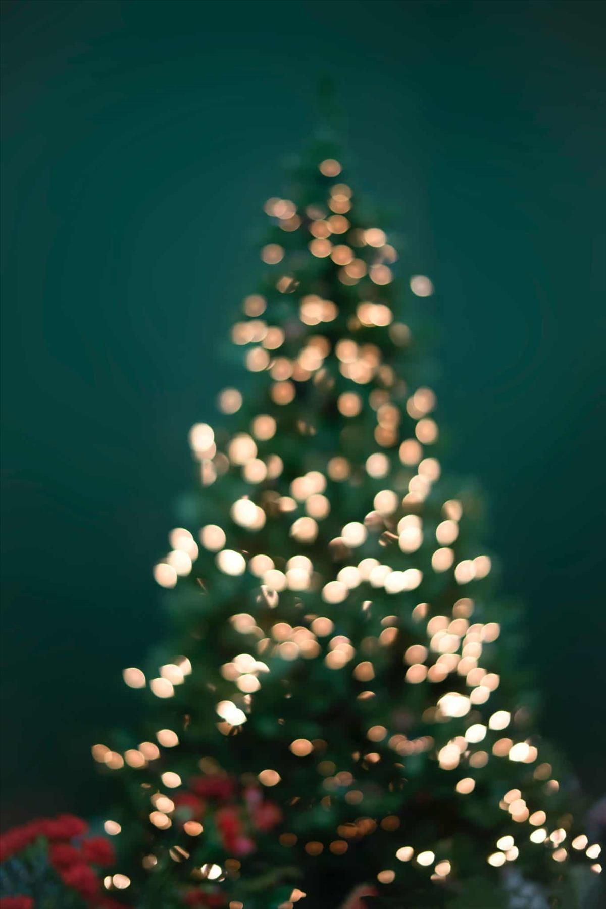 Christmas Wallpaper Backgrounds For iPhone Free