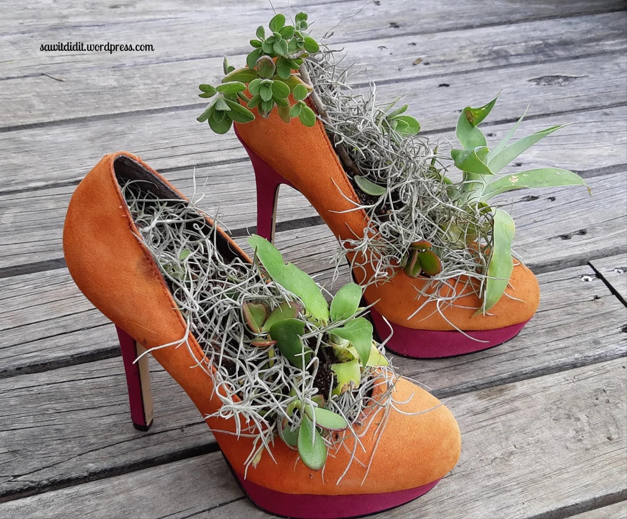Creative ways to decorate succulents into your old shoes